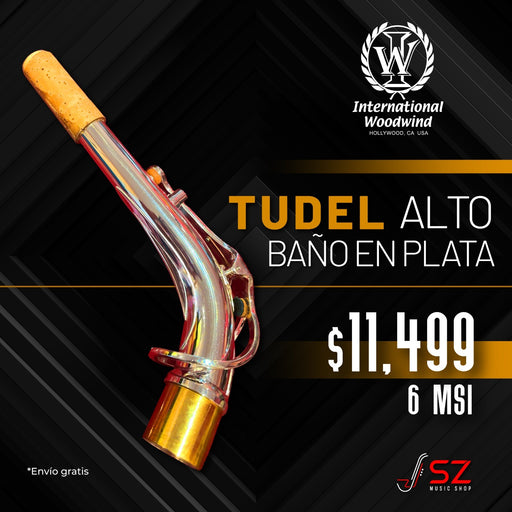 Tudel International Woodwinds Para Saxofón Alto Baño de Plata