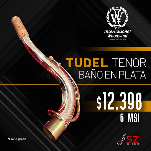 Tudel International Woodwinds Para Saxofón Tenor Baño de Plata