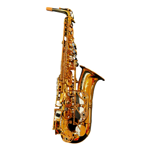 International Woodwinds 601 Saxofón Alto