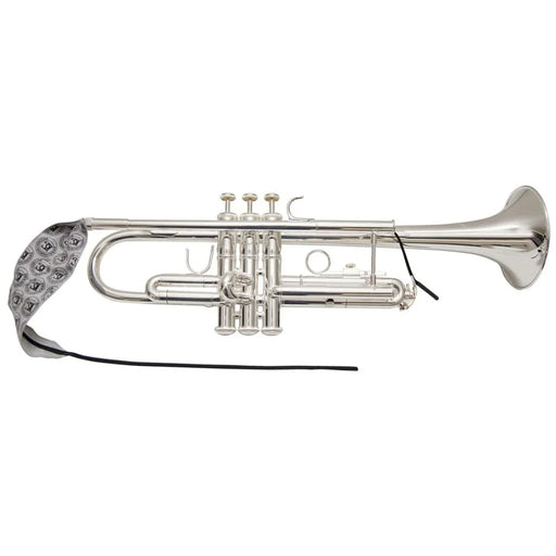 Limpiador de Trompeta A31T BG France