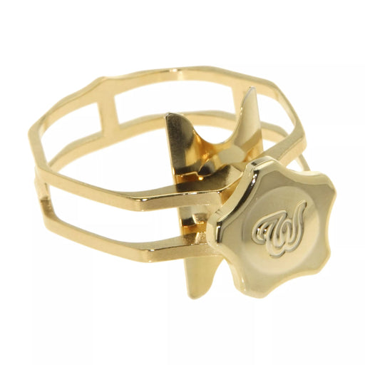 Soprano Enlightened Theo Wanne